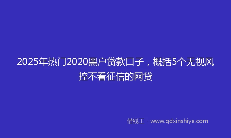 2025年热门2020黑户贷款口子，概括5个无视风控不看征信的网贷