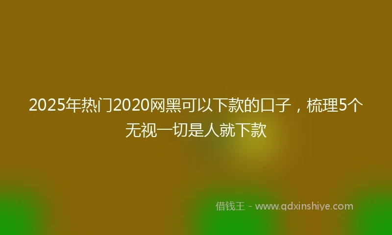 2025年热门2020网黑可以下款的口子，梳理5个无视一切是人就下款