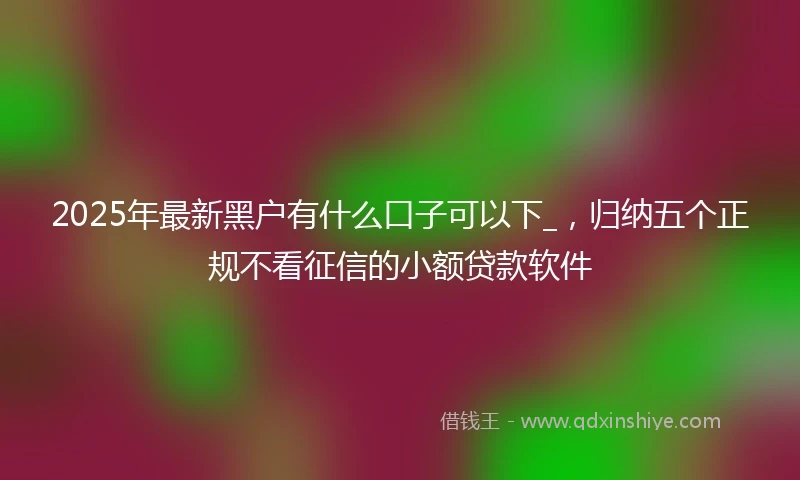 2025年最新黑户有什么口子可以下_，归纳五个正规不看征信的小额贷款软件