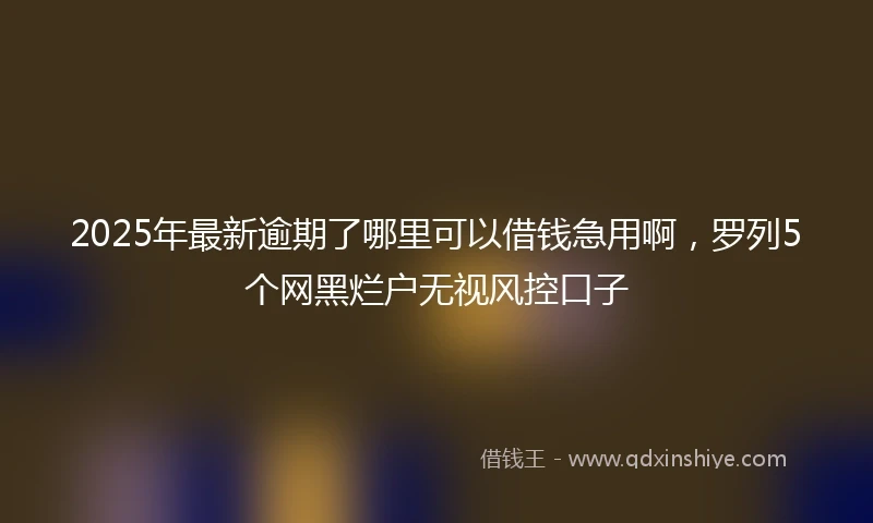 2025年最新逾期了哪里可以借钱急用啊，罗列5个网黑烂户无视风控口子
