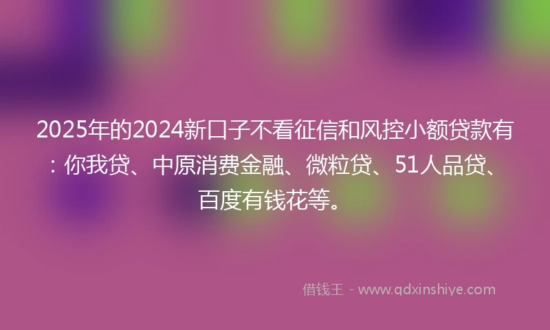 2025年的2024新口子不看征信和风控小额贷款有：你我贷、中原消费金融、微粒贷、51人品贷、百度有钱花等。