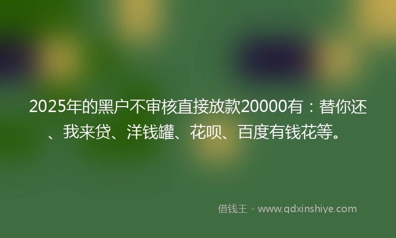 2025年的黑户不审核直接放款20000有：替你还、我来贷、洋钱罐、花呗、百度有钱花等。