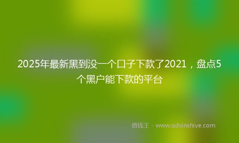 2025年最新黑到没一个口子下款了2021，盘点5个黑户能下款的平台