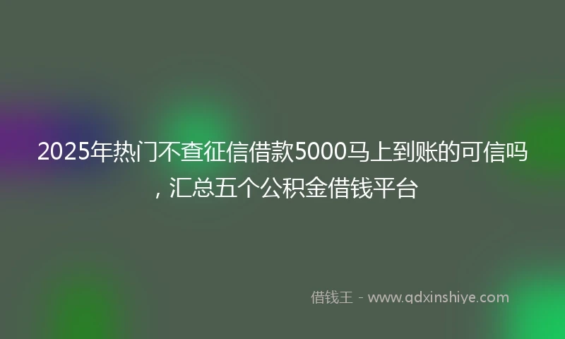2025年热门不查征信借款5000马上到账的可信吗，汇总五个公积金借钱平台