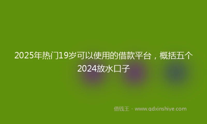 2025年热门19岁可以使用的借款平台，概括五个2024放水口子