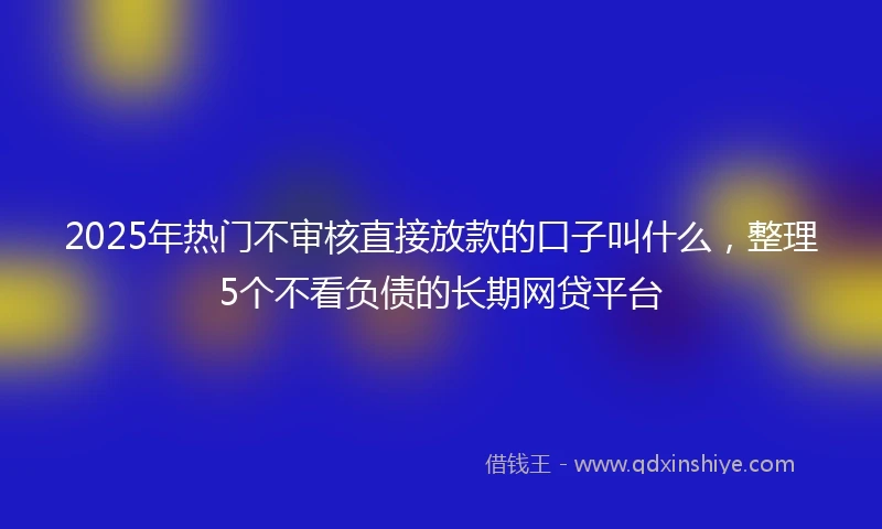 2025年热门不审核直接放款的口子叫什么，整理5个不看负债的长期网贷平台