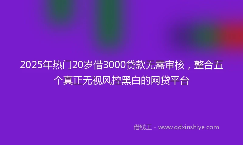 2025年热门20岁借3000贷款无需审核，整合五个真正无视风控黑白的网贷平台