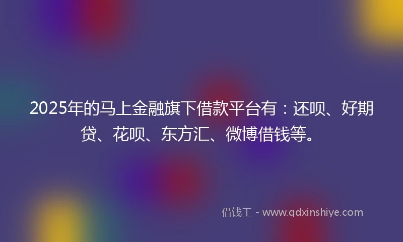 2025年的马上金融旗下借款平台有：还呗、好期贷、花呗、东方汇、微博借钱等。