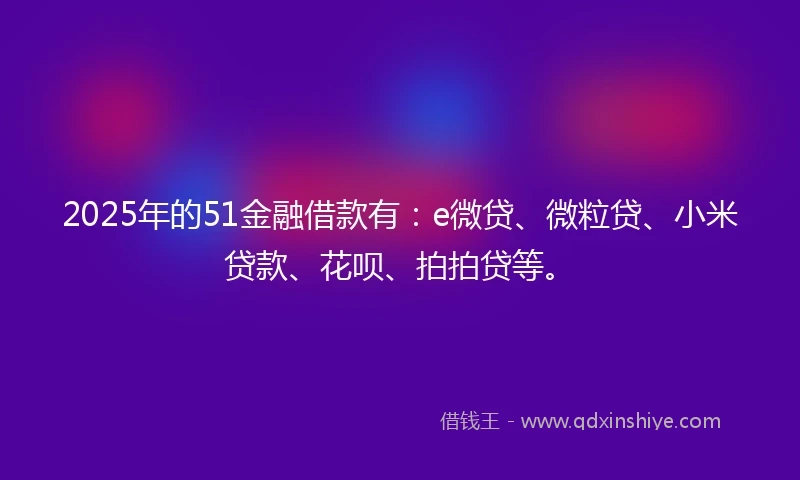 2025年的51金融借款有：e微贷、微粒贷、小米贷款、花呗、拍拍贷等。