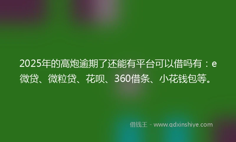 2025年的高炮逾期了还能有平台可以借吗有：e微贷、微粒贷、花呗、360借条、小花钱包等。