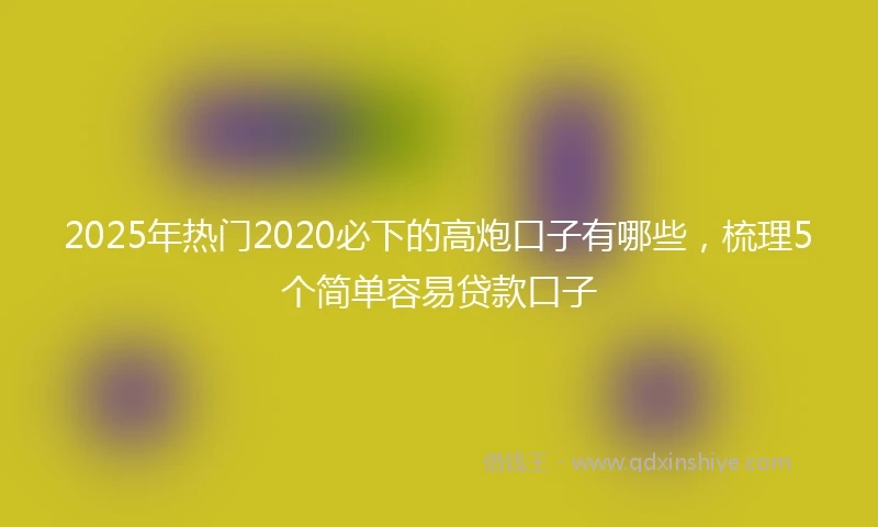 2025年热门2020必下的高炮口子有哪些，梳理5个简单容易贷款口子