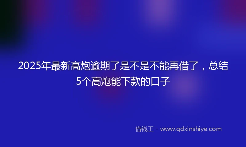 2025年最新高炮逾期了是不是不能再借了，总结5个高炮能下款的口子