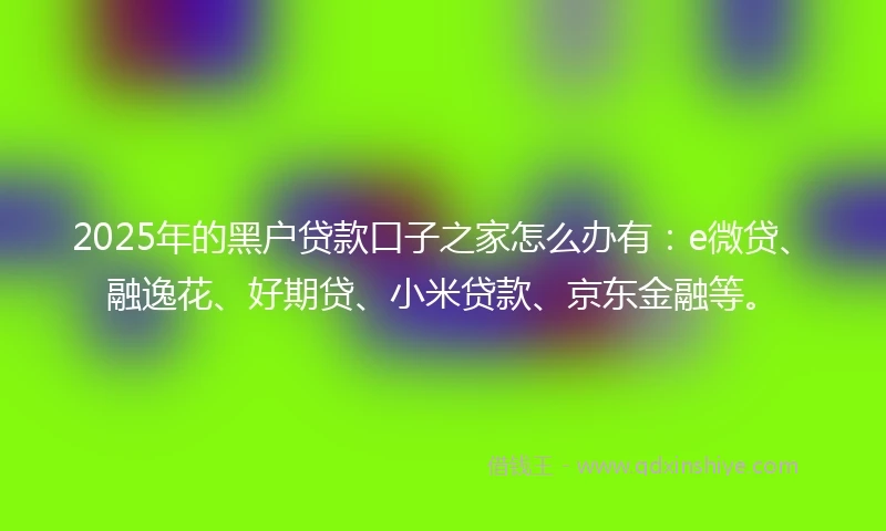 2025年的黑户贷款口子之家怎么办有：e微贷、融逸花、好期贷、小米贷款、京东金融等。