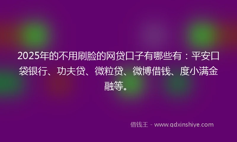 2025年的不用刷脸的网贷口子有哪些有：平安口袋银行、功夫贷、微粒贷、微博借钱、度小满金融等。
