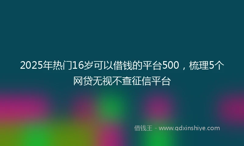 2025年热门16岁可以借钱的平台500，梳理5个网贷无视不查征信平台