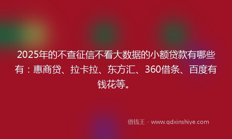 2025年的不查征信不看大数据的小额贷款有哪些有：惠商贷、拉卡拉、东方汇、360借条、百度有钱花等。
