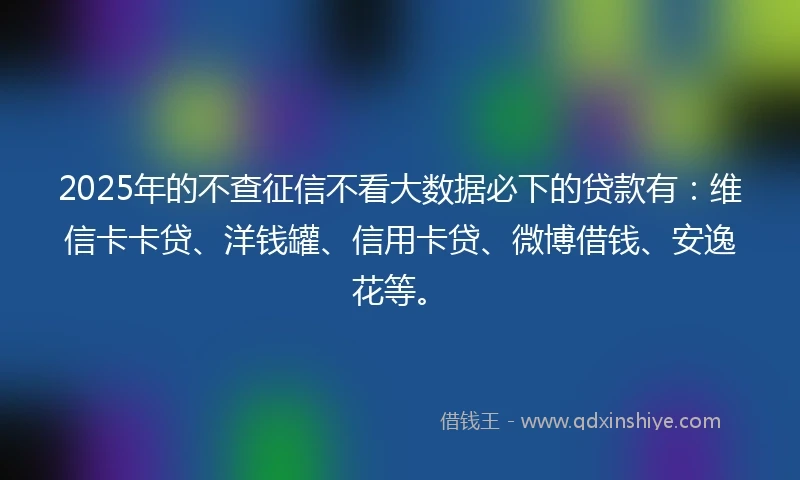 2025年的不查征信不看大数据必下的贷款有：维信卡卡贷、洋钱罐、信用卡贷、微博借钱、安逸花等。