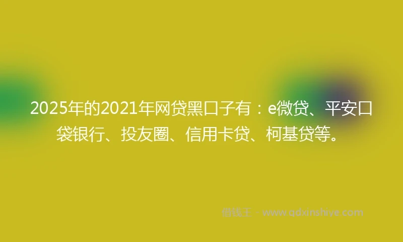 2025年的2021年网贷黑口子有：e微贷、平安口袋银行、投友圈、信用卡贷、柯基贷等。