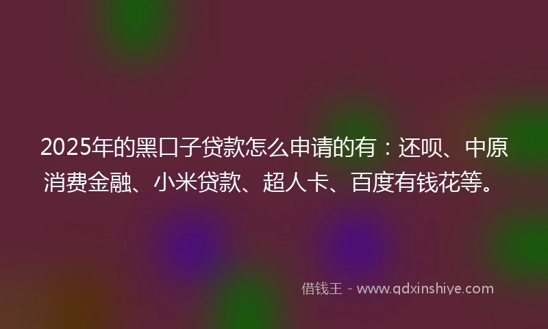 2025年的黑口子贷款怎么申请的有：还呗、中原消费金融、小米贷款、超人卡、百度有钱花等。