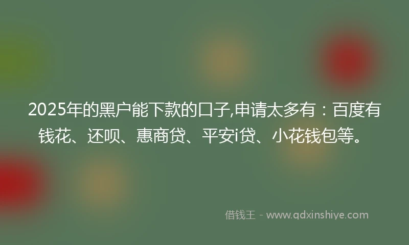 2025年的黑户能下款的口子,申请太多有：百度有钱花、还呗、惠商贷、平安i贷、小花钱包等。