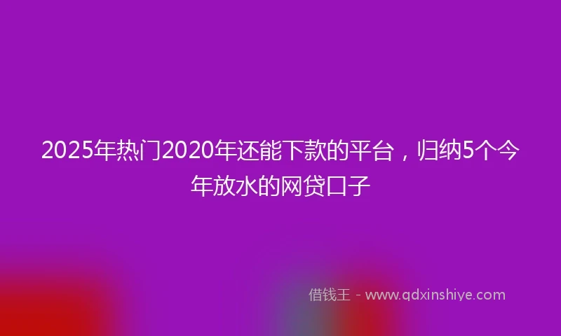 2025年热门2020年还能下款的平台，归纳5个今年放水的网贷口子