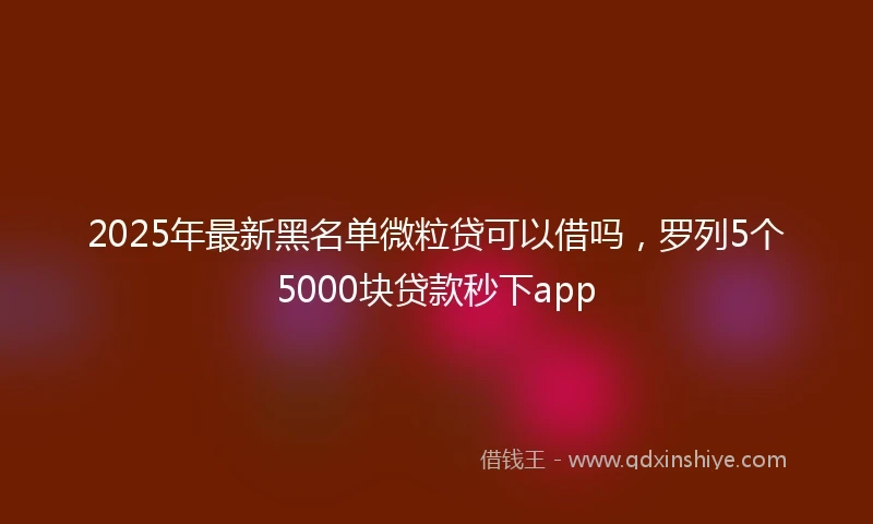 2025年最新黑名单微粒贷可以借吗，罗列5个5000块贷款秒下app
