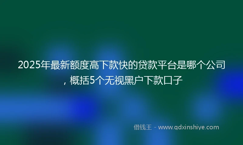 2025年最新额度高下款快的贷款平台是哪个公司，概括5个无视黑户下款口子