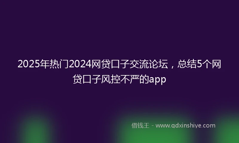 2025年热门2024网贷口子交流论坛，总结5个网贷口子风控不严的app