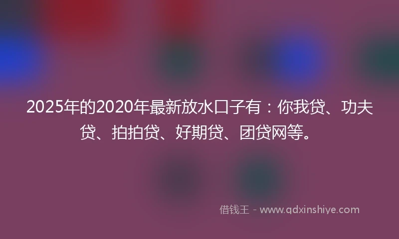 2025年的2020年最新放水口子有：你我贷、功夫贷、拍拍贷、好期贷、团贷网等。
