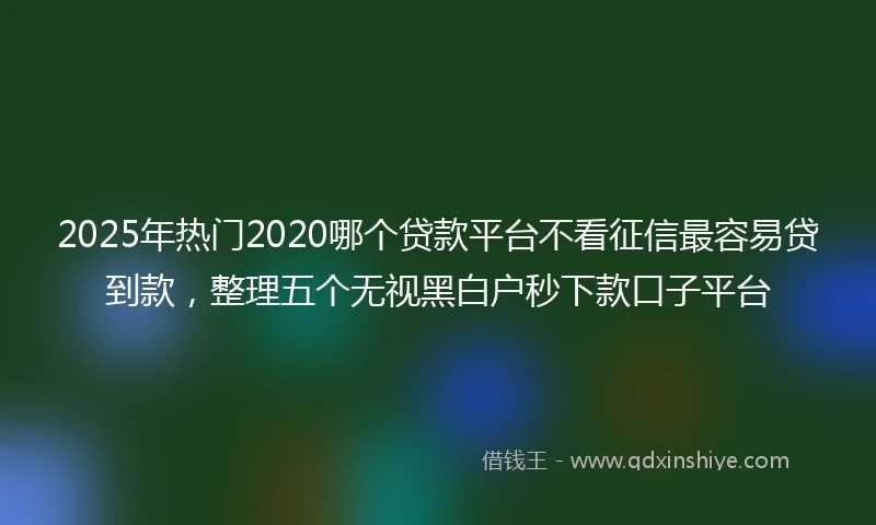 2025年热门2020哪个贷款平台不看征信最容易贷到款，整理五个无视黑白户秒下款口子平台