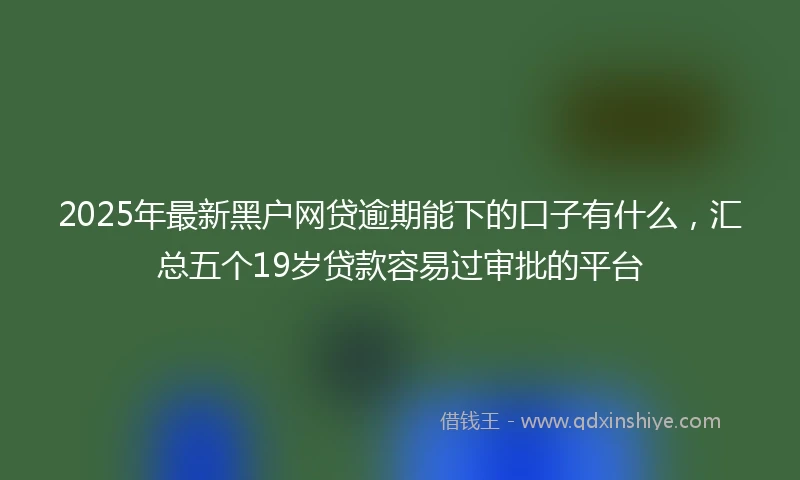 2025年最新黑户网贷逾期能下的口子有什么，汇总五个19岁贷款容易过审批的平台