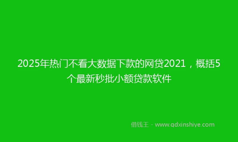 2025年热门不看大数据下款的网贷2021，概括5个最新秒批小额贷款软件
