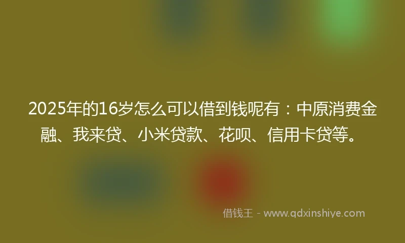 2025年的16岁怎么可以借到钱呢有：中原消费金融、我来贷、小米贷款、花呗、信用卡贷等。