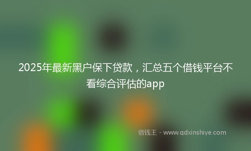 2025年最新黑户保下贷款，汇总五个借钱平台不看综合评估的app