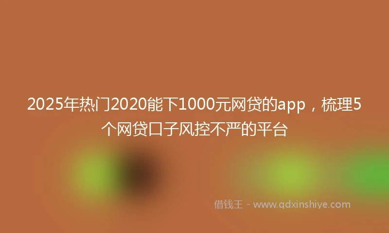 2025年热门2020能下1000元网贷的app，梳理5个网贷口子风控不严的平台