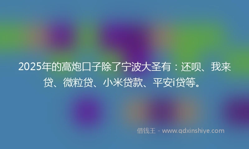 2025年的高炮口子除了宁波大圣有：还呗、我来贷、微粒贷、小米贷款、平安i贷等。