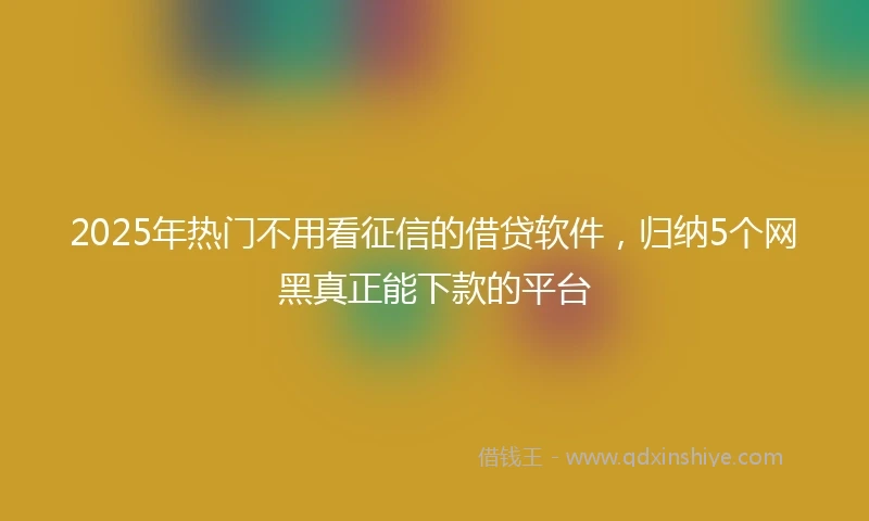 2025年热门不用看征信的借贷软件，归纳5个网黑真正能下款的平台