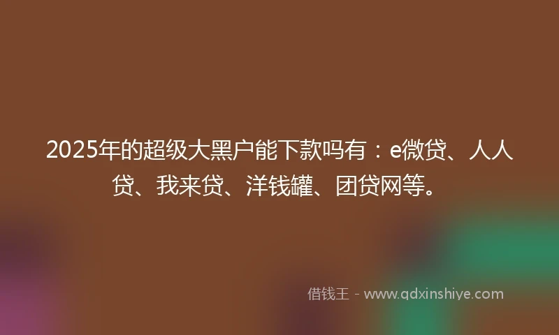 2025年的超级大黑户能下款吗有：e微贷、人人贷、我来贷、洋钱罐、团贷网等。