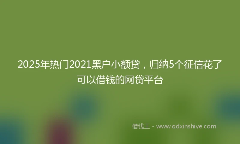 2025年热门2021黑户小额贷，归纳5个征信花了可以借钱的网贷平台