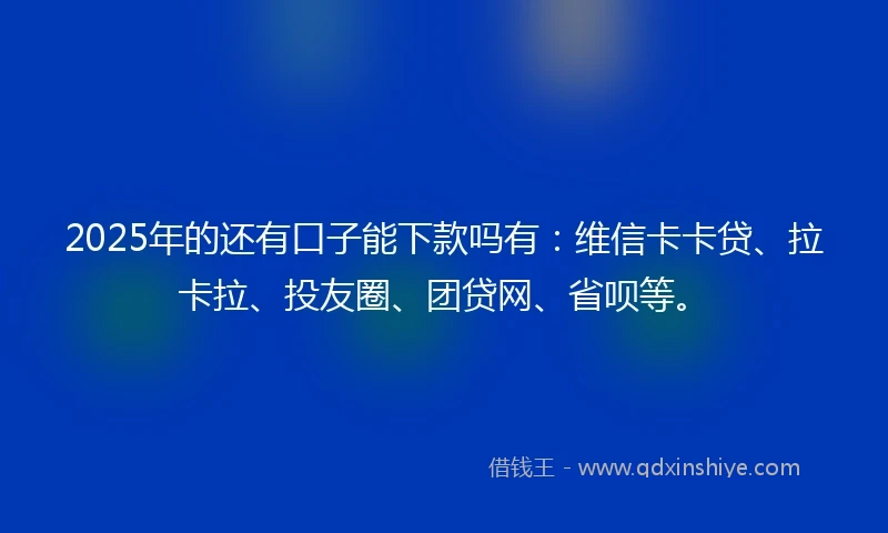 2025年的还有口子能下款吗有：维信卡卡贷、拉卡拉、投友圈、团贷网、省呗等。