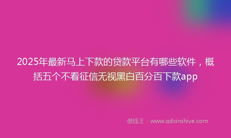 2025年最新马上下款的贷款平台有哪些软件，概括五个不看征信无视黑白百分百下款app