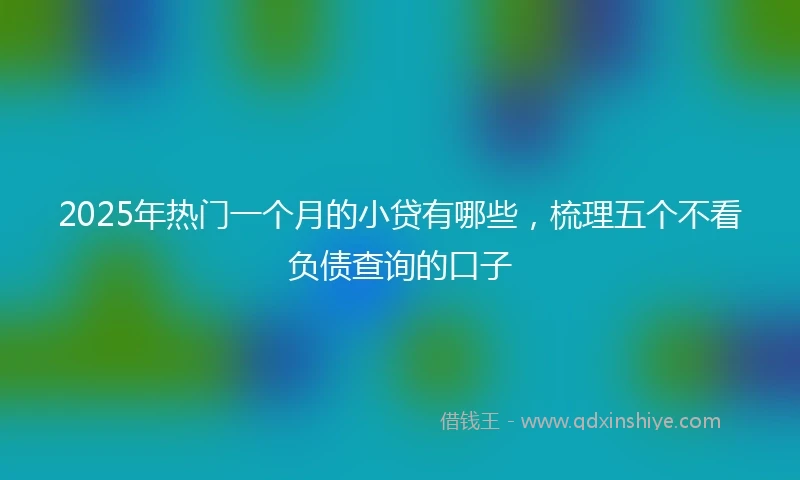 2025年热门一个月的小贷有哪些，梳理五个不看负债查询的口子