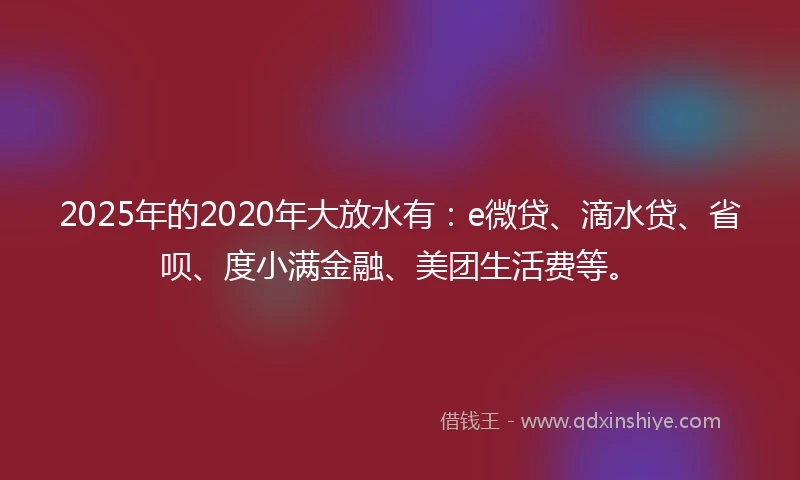 2025年的2020年大放水有：e微贷、滴水贷、省呗、度小满金融、美团生活费等。