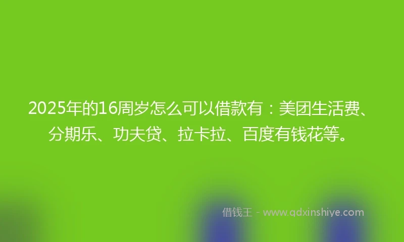 2025年的16周岁怎么可以借款有：美团生活费、分期乐、功夫贷、拉卡拉、百度有钱花等。