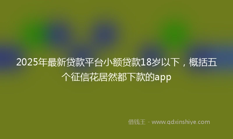 2025年最新贷款平台小额贷款18岁以下，概括五个征信花居然都下款的app