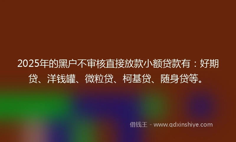 2025年的黑户不审核直接放款小额贷款有：好期贷、洋钱罐、微粒贷、柯基贷、随身贷等。