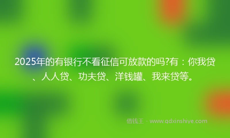 2025年的有银行不看征信可放款的吗?有：你我贷、人人贷、功夫贷、洋钱罐、我来贷等。