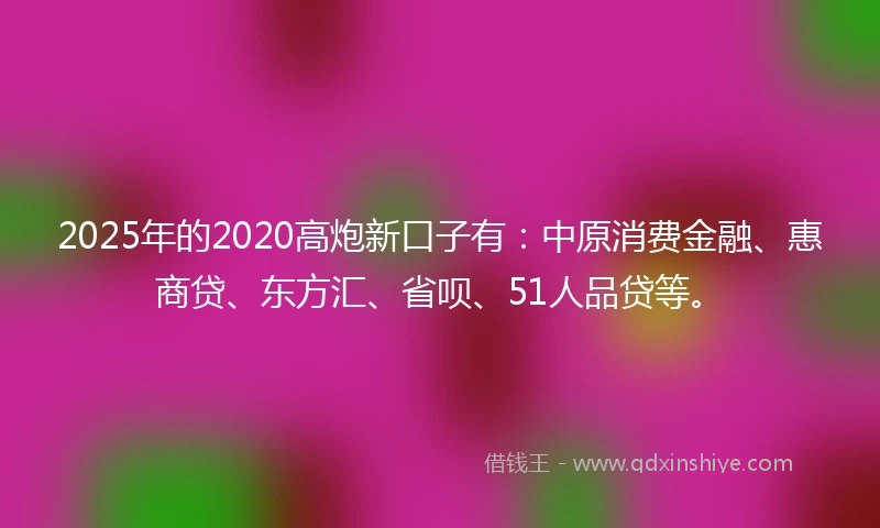 2025年的2020高炮新口子有：中原消费金融、惠商贷、东方汇、省呗、51人品贷等。