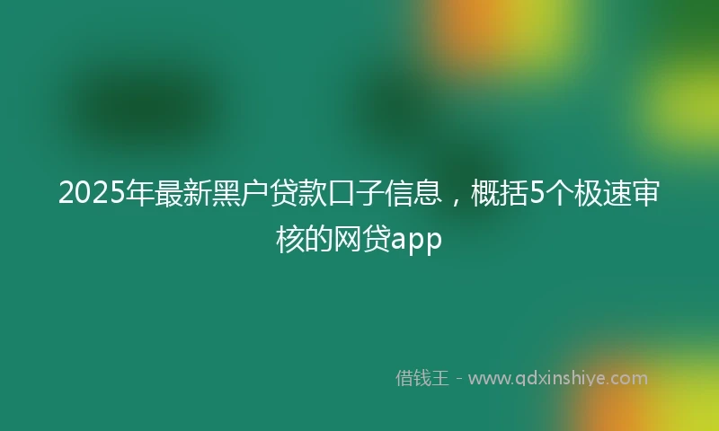 2025年最新黑户贷款口子信息，概括5个极速审核的网贷app