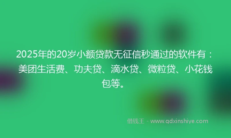 2025年的20岁小额贷款无征信秒通过的软件有：美团生活费、功夫贷、滴水贷、微粒贷、小花钱包等。